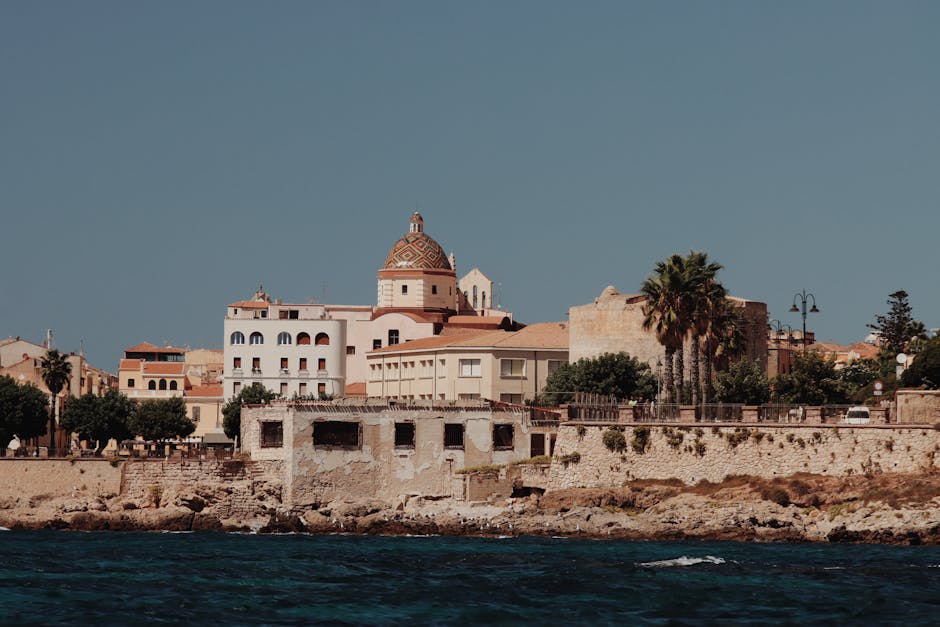 Курсы программирования и UI/UX дизайна